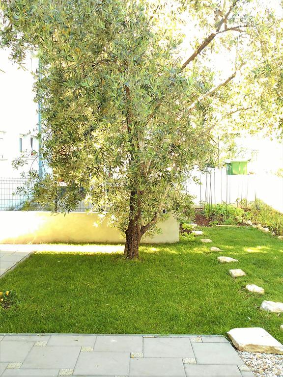 Apartment Doda